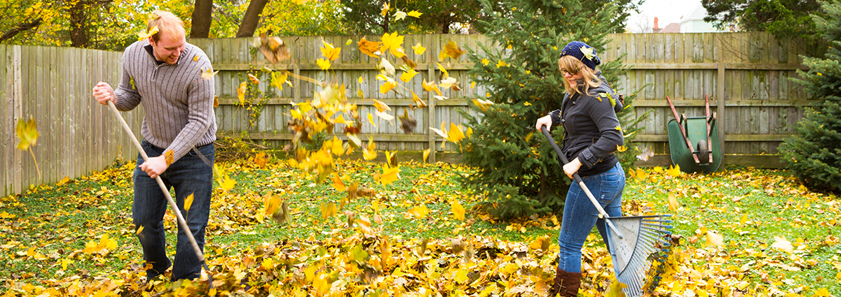 Two people in sweaters preparing their home for autumn by raking fallen leaves.