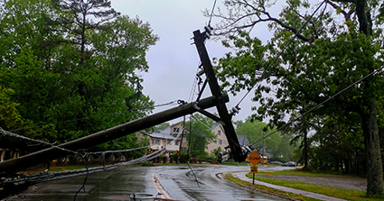 A downed power line pole stretches across a road, surrounded by broken tree limbs.
