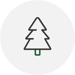 Icon of a pine tree