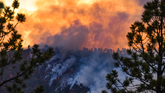 Wildfire smoke clouds an orange-red sky and covers an area full of evergreen trees.